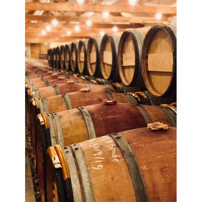 Cloche industrielle étanche 100W - Éclairage spécifique viticole - IP65 - VITIK - Anti UV, anti goût lumière, spectre protecteur_1