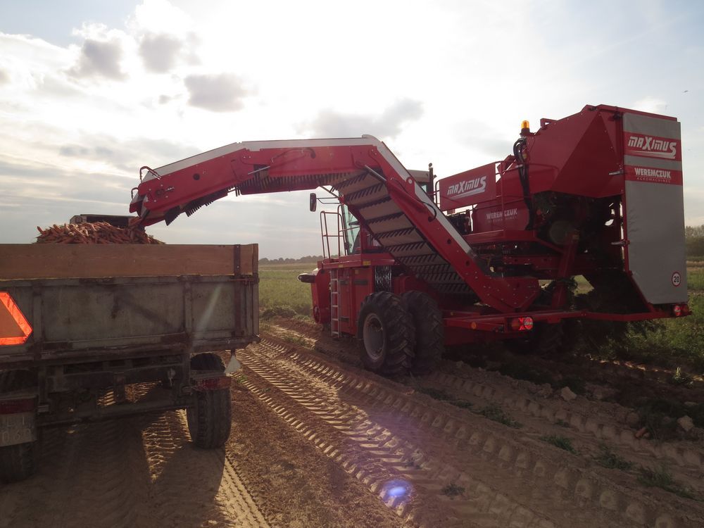 Récolteuse de légumes-racines automotrice Maximus - Weremczuk - moteur diesel 240 ch - 2 rangs à récolter_1