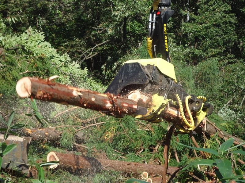 AFM 1000 S - Tête d'abattage multifonctionnelle - AFM Forest - Ouverture max. couteaux 450 mm_1