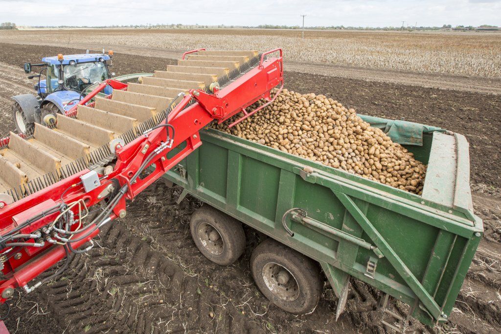 Récolteuse automotrice Varitron 220 Platinum Terra Trac - 2 rangs - Grimme France - vitesse jusqu'à 25 km/h - moteur 160/354 kW/CV_1