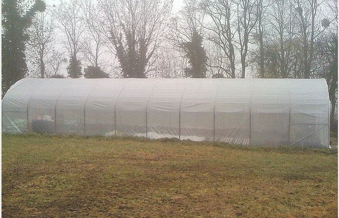 Tunnel agricole robuste en acier galvanisé conforme aux normes EN13031-1
