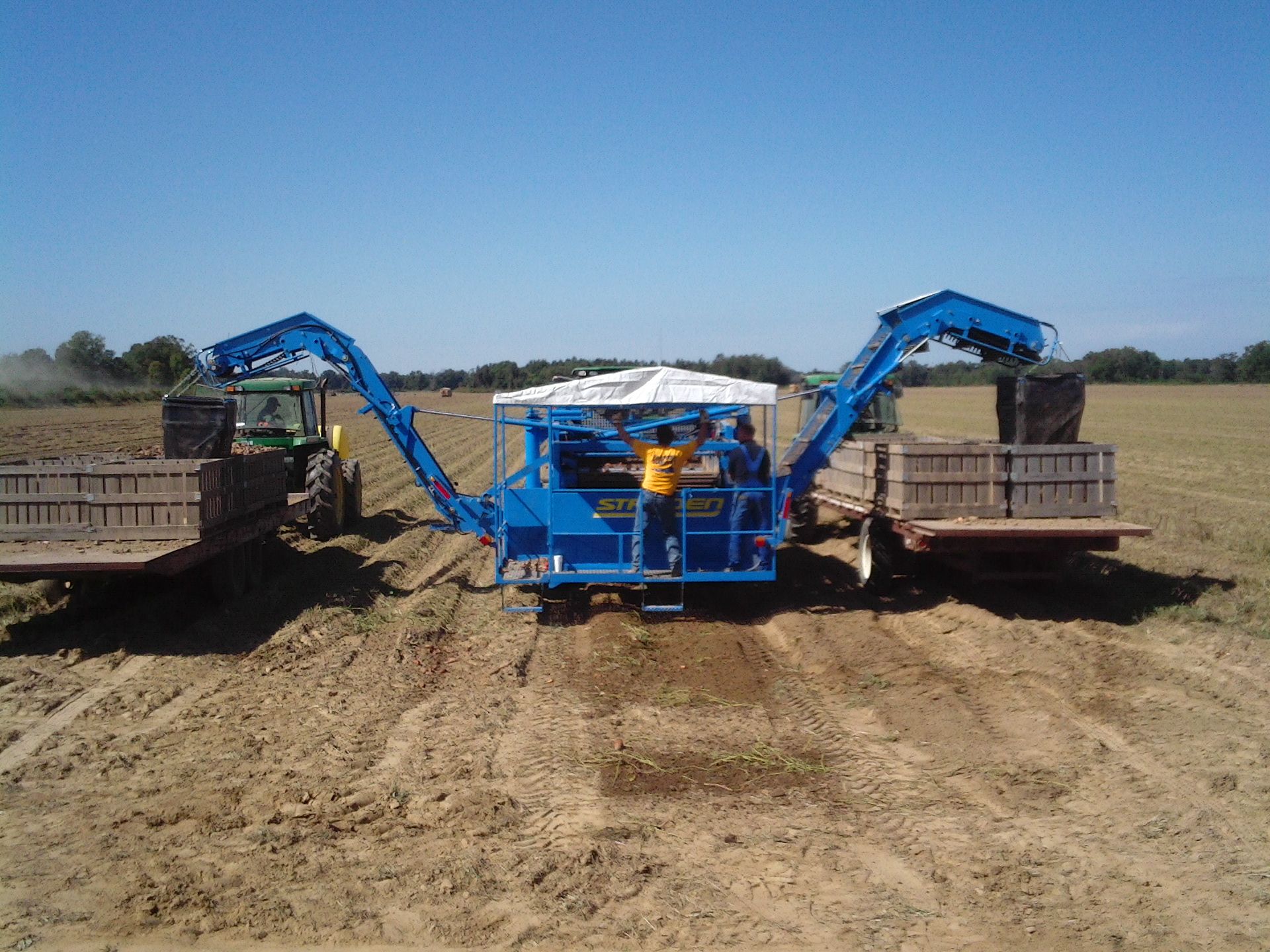Arracheuse de patates douces standen tsp 1900 - standen engineering ltd_1
