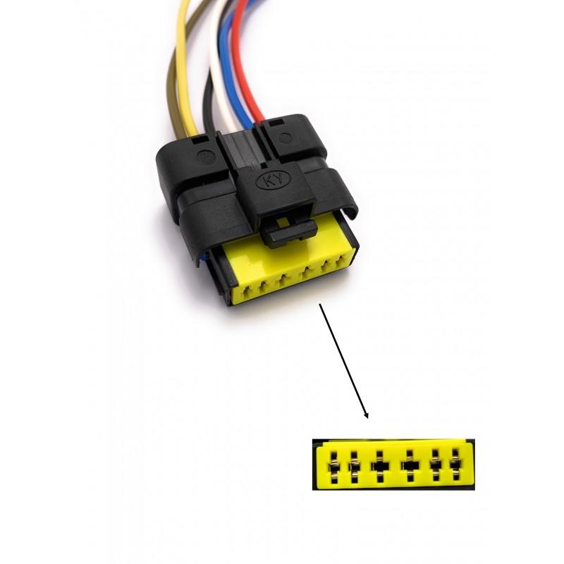 FICHE ÉLECTRIQUE MODULE TEMIC DE LÈVE VITRE RENAULT_1
