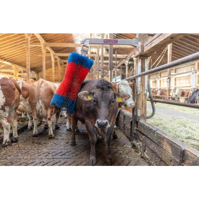 Brosse d'étable très robuste - HAPPYCOW Free - intérieur et extérieur - mouvement pendulaire vertical - poils de qualité élevée_1