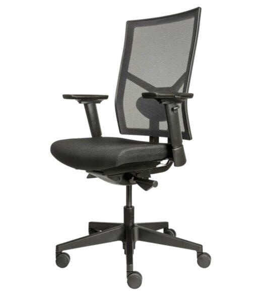 Fauteuil de Bureau Ergonomique 787 NPR d'occasion - Dossier en Résille - Réglages Multiples_1
