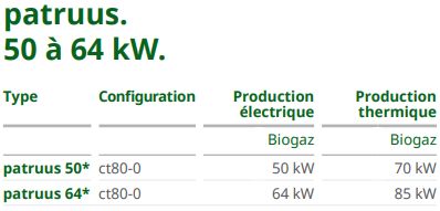 Patruus - Groupe électrogène industriel 50 à 64 kW - 2G Énergie SAS - Technologie robuste et modulaire_1