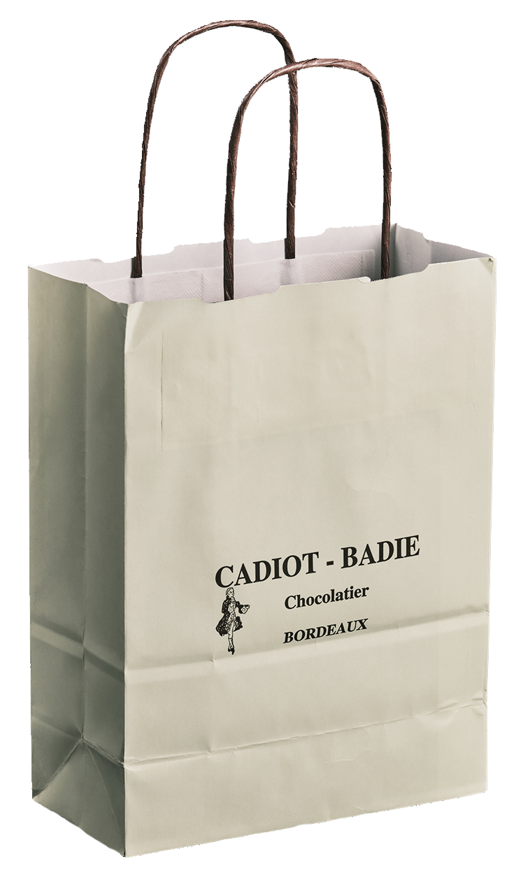 Sacs boutiques en papier kraft à poignées torsadées - Élégants, solides et pratiques pour usage professionnel_1