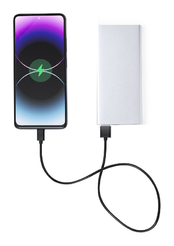 Power Bank USB en aluminium - Batterie 10 000 mAh - 2 ports USB et USB-C - Couleur argenté_1