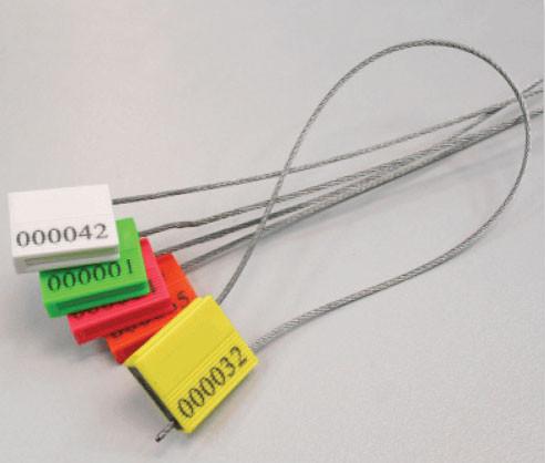 Scellé Câble galvanisé Tête PE 26x21x7 mm L 250 mm - Tige Ø 1.5 mm - Blanc_1