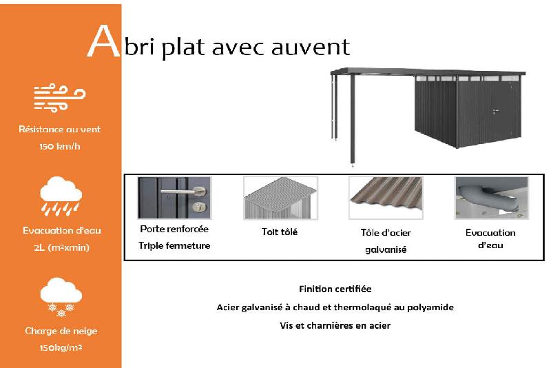 Abri plat avec auvent - 315x315x222_1