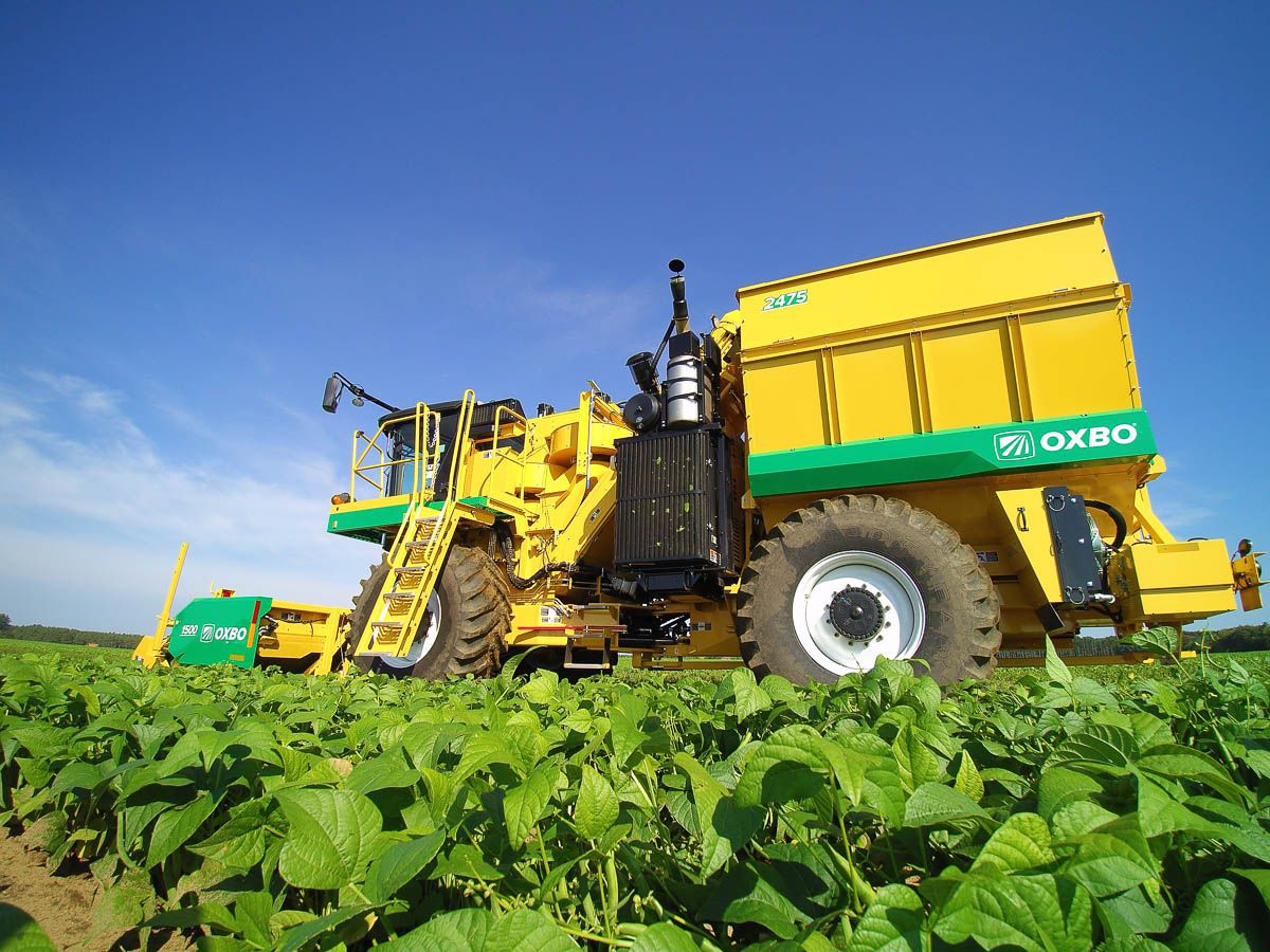 Arracheuse oxbo 2475 - oxbocorp - longueur sans tête 9.2 m - largeur 3.43 m_1