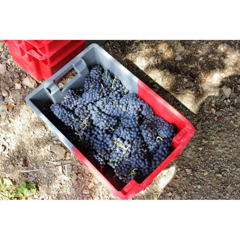 Bac bicolore fruits et viandes - gerbable et emboitable - 60L - Allibert SN106005AE_1