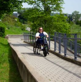 Handbike Tout Électrique Lomo GX 14 - Moteur 1000W, Batterie 13Ah, Autonomie 50km_1