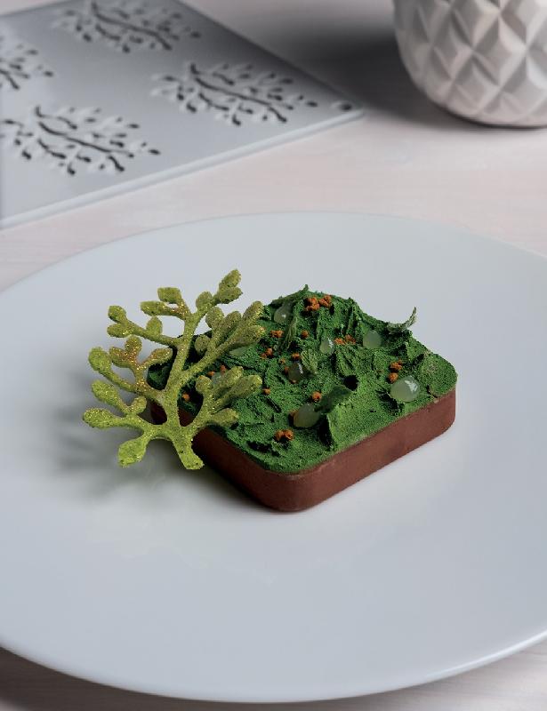 Bonsai - Moule en silicone Gourmand Horeca Pavoni Italia - 8 empreintes_1