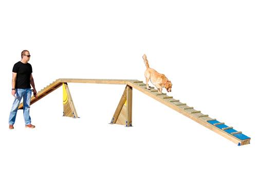 Passerelle edu can agility parcours canin_1