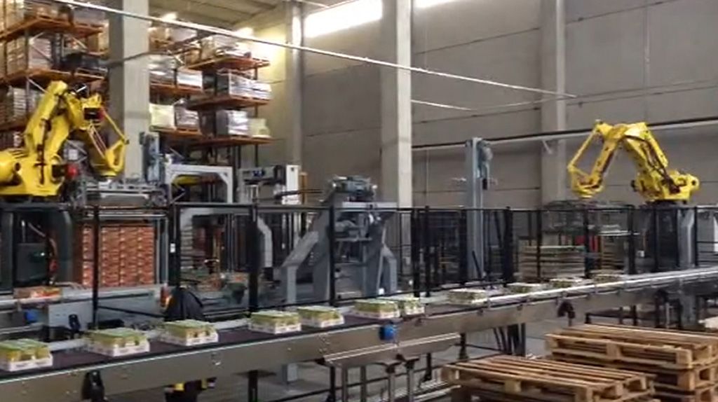 FL-PAL_DEPAL - Palettiseur dépalettiseur à robot - F.B.L. Food Machinery_1