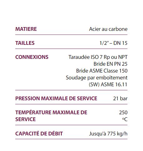 Purgeurs thermostatiques TH21 - Valsteam - Débit jusqu'à 775 kg/h pour blanchisserie, industrie alimentaire et stérilisateurs_1