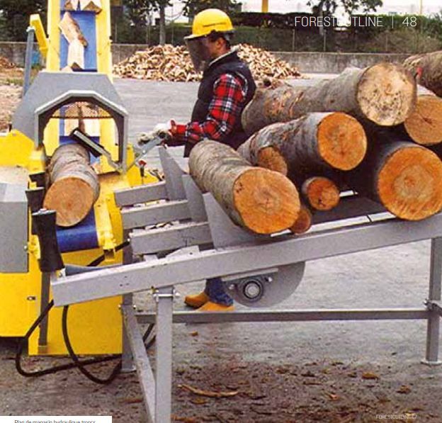 Forest Cut 48 avec convoyeur hydraulique pour bois de 4500 mm
