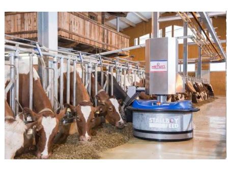 Robot repousse-fourrage - STALLBOY FEED - nourriture fraîche 24h/24, amélioration ingestion et lait, adapté foin et ensilage_0
