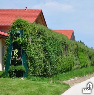 Panneau acoustique extérieur pour protection contre les nuisances sonores