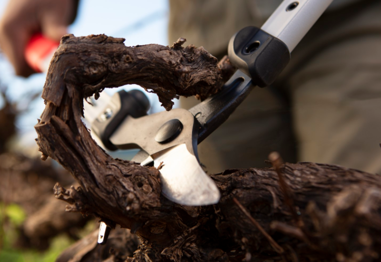 Ébrancheur Felco 201 - 60 cm - Léger et maniable - Diamètre de coupe 35 mm - Référence 629904_1