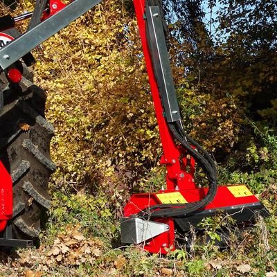 Épareuse débroussailleuse am 80_1