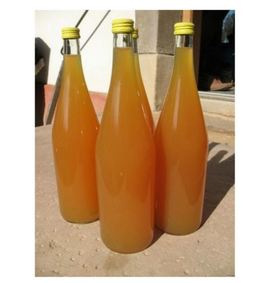 Unité de production de jus de fruits tropicaux compacte - 50 litres par heure - RÉF RNK03-ET_1