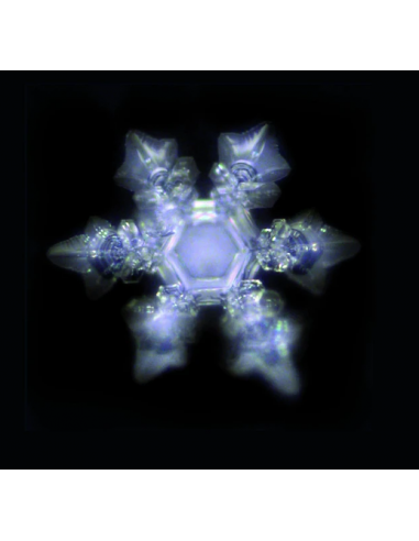 Verre à onde de forme et fleur de vie - sans plomb - Verre revitalisant en borosilicate_1