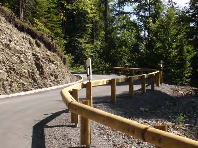 Glissière de sécurité - gamme Wood S4.2 - dispositif mixte bois/métal - entraxe 2m_1