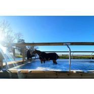 Clôture de carrière - Horse Stop - Lice Assurance, 1 lice déportée sur bordure béton - Ref. Nc3-1b_1