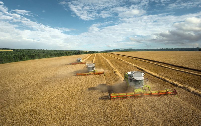 Moissonneuse-batteuse CLAAS Lexion 780-740 - Trémie 12800L - APS Hybrid System_1