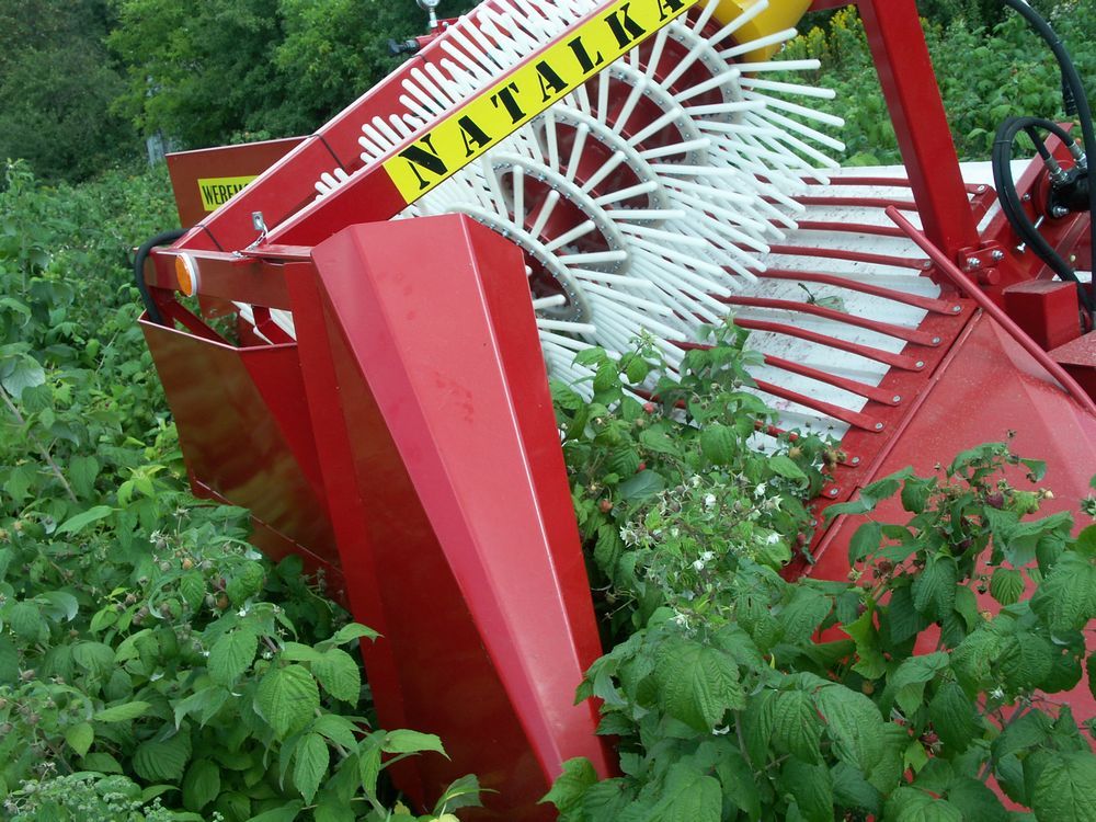 Récolteuse à framboises NATALKA - WEREMCZUK - productivité 0.1 à 0.15 ha/h - puissance minimale requise 35 HP_1