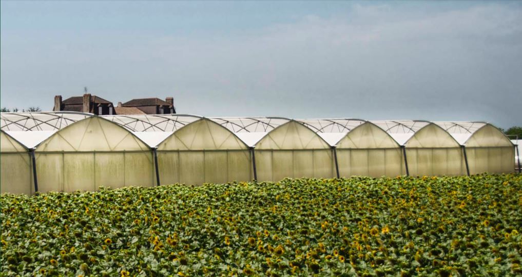 Multisym - serre chapelle - barre ets_1