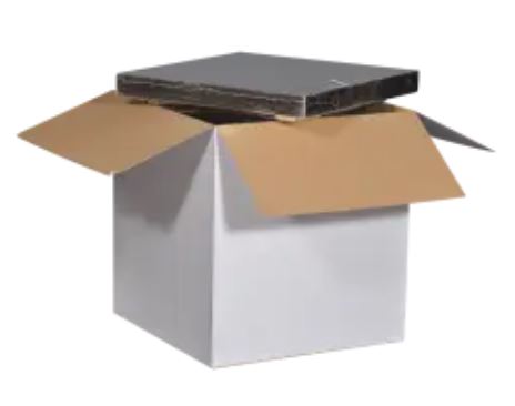 Caisse de transport isotherme - durable et fiable pour secteurs alimentaire et médical - maintien des articles thermosensibles_1