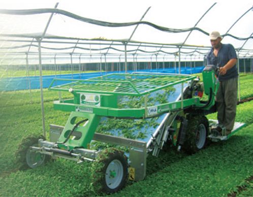 Récolteuse Slide Small - Hortech SRL - idéale pour petites serres - puissance du tracteur 15.5 kW_1