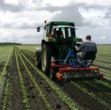 Bineuse à cage - k.U.L.T.-kress - vitesse de travail 3 - 12 km/h_1