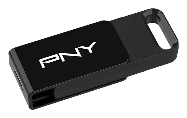 PNY Elite lecteur USB flash 256 Go USB Type-C 3.2 Gen 1 (3.1 Gen 1) Noir_1