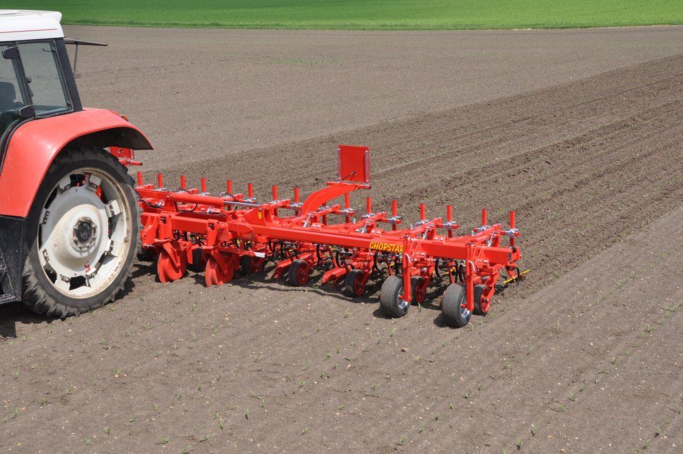 Chopstar 5-90 - Bineuse agricole Einböck pour inter-rangs jusqu'à 90 cm avec dents vibro_1