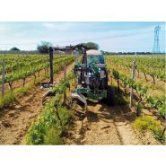 SPS - épampreuse mécanique FA.MA. - tête ébourgeonneuse interchangeable - hauteur de travail maximale de 65 cm_1