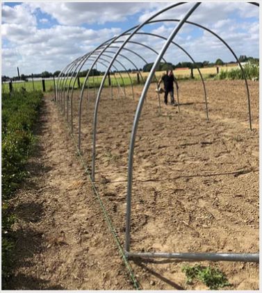 Magnum - Serre tunnel professionnelle Natural - largeur 4m, structure renforcée pour cultures sur ficelles_1
