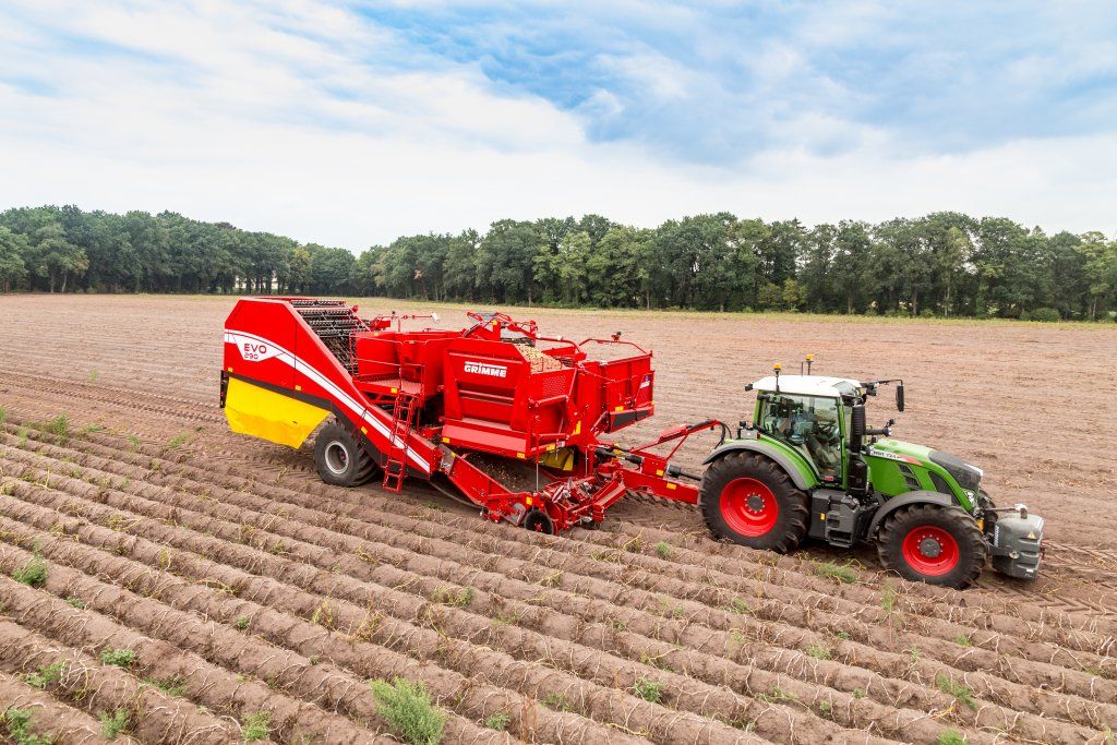 Arracheuse Grimme Evo 290 avec trémie de 9 tonnes pour rendement optimisé