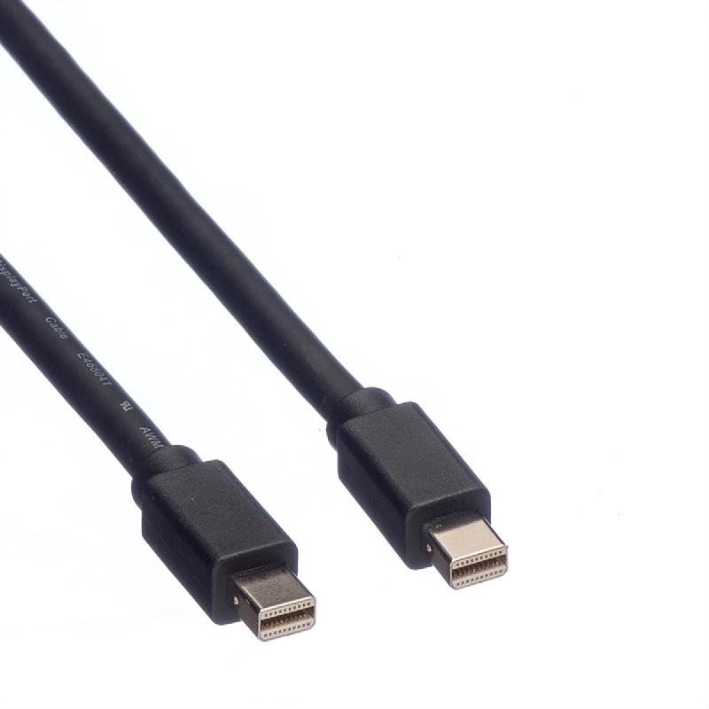 ROLINE Câble DisplayPort Mini DP M - Mini DP M, noir, 2 m_1