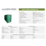 Ecogen-50SG - Cogénération Cogengreen - Puissance électrique 50 kW (45 kW en groupe de secours) - Mini-cogénération avec isolation acoustique et thermique_1