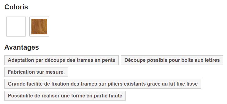 Clôture PVC CL 08 D / Type 01 D - CG Pro - Barreaudage vertical par lames PVC avec traverses mortaisées et renfort métallique_1