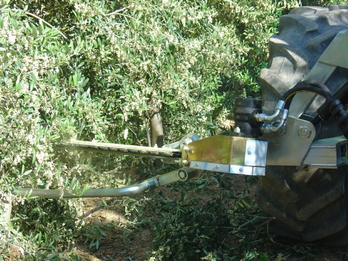 Découpeuse castor - prétailleuse - corbins - pour les bas des oliviers et les fruitiers_2
