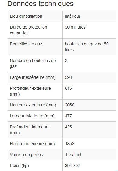 210387W - Armoire coupe-feu G90.6-2F pour bouteilles de gaz - 90 minutes de résistance au feu_1