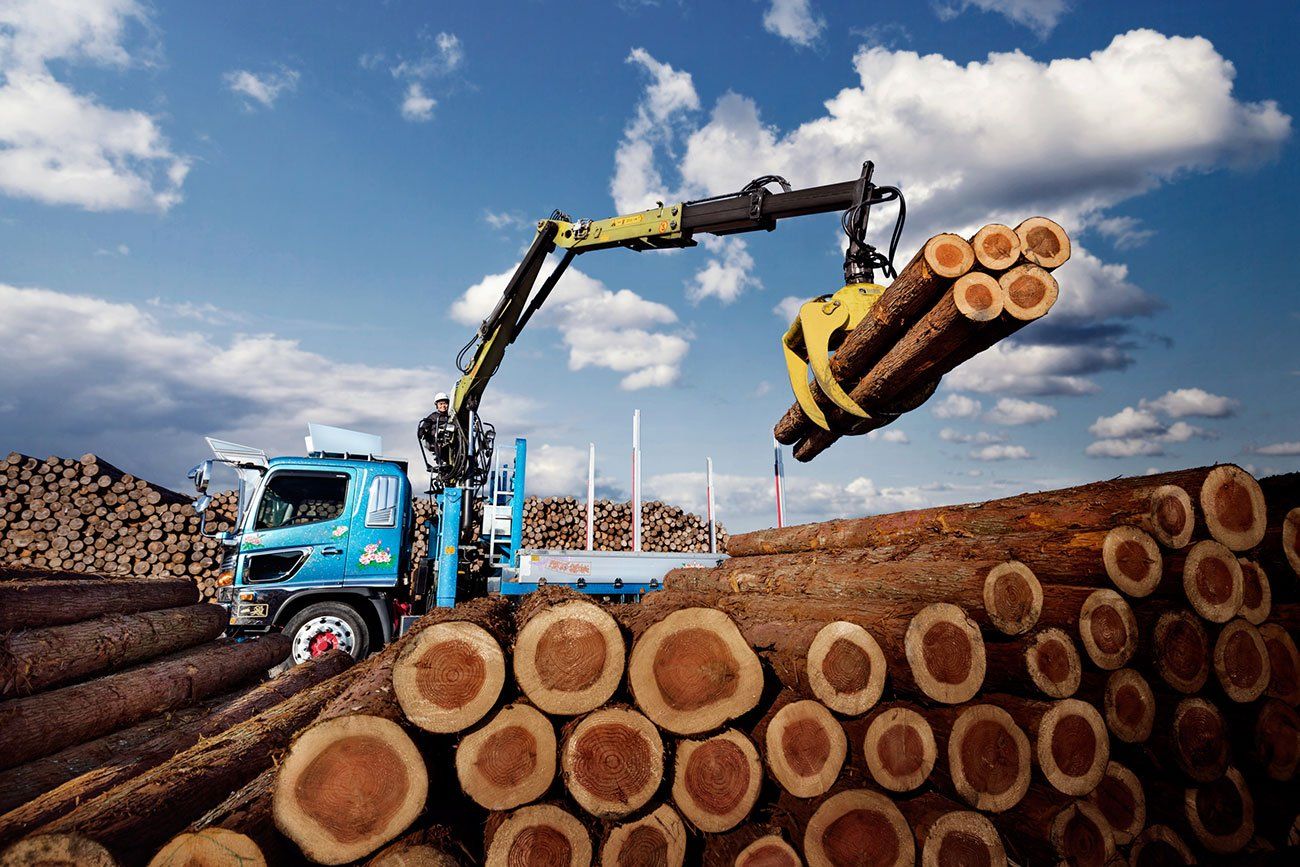 Loglift 82z grues forestières - hiab - d'une portée des extensions hydrauliques de 7,2 m à 8,4 m_1