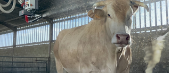 Robot pailleur SENTINEL - Nettoyage et désinfection automatisés_1