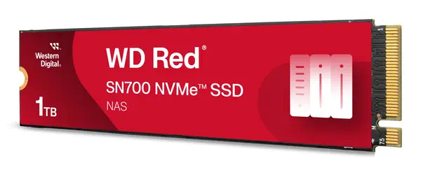 SanDisk Red WD SN700 NVMe 1 To M.2 PCI Express 3.0_1