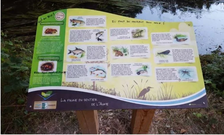 Table pupitre d'information_1